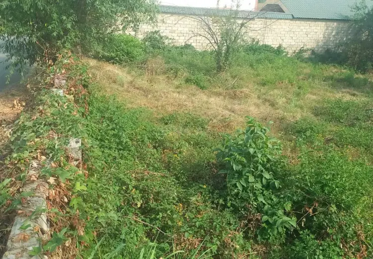 12.5 sot Torpaq Satılır, Qəbələ