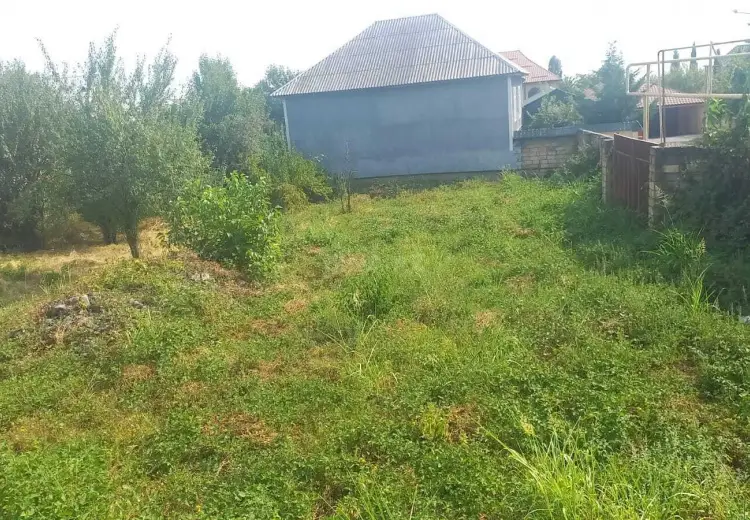 12.5 sot Torpaq Satılır, Qəbələ