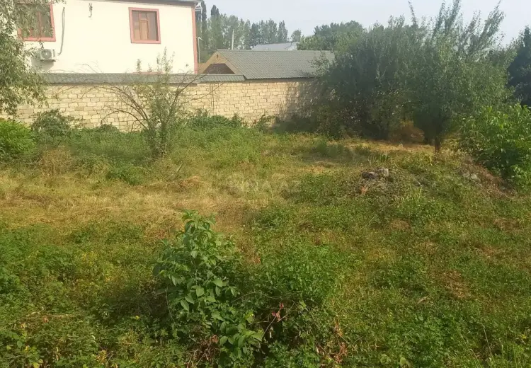 12.5 sot Torpaq Satılır, Qəbələ