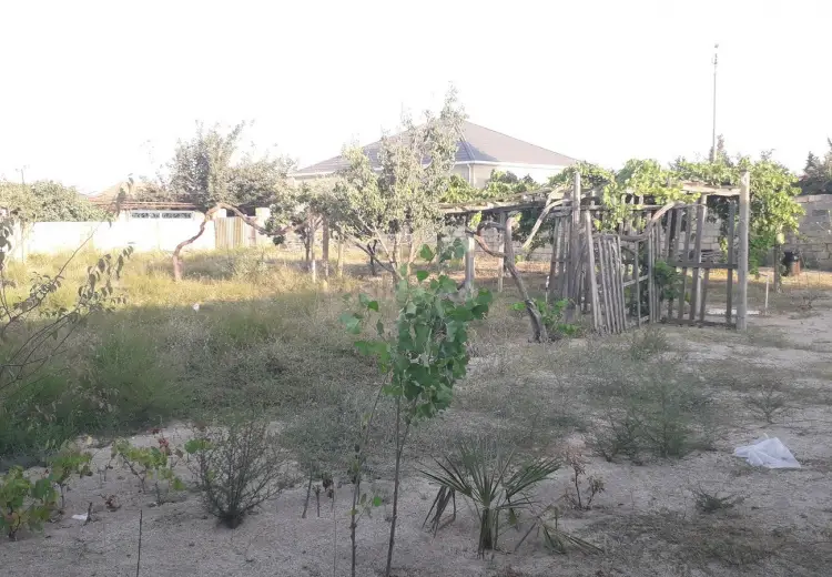 8 sot Torpaq Satılır, Pirşağı qəs., Sabunçu, Bakı