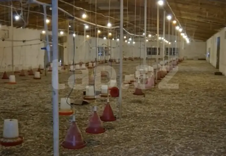 0 m² Obyekt / Ofis , Qala, Xəzər, Bakı
