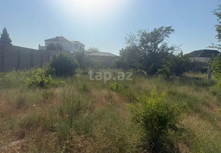 0 m² Obyekt / Ofis , Saray, Abşeron