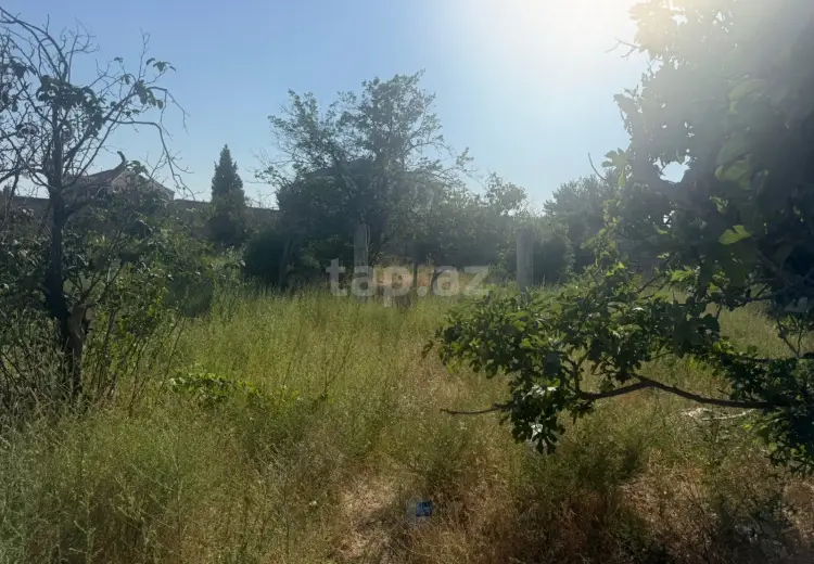 0 m² Obyekt / Ofis , Saray, Abşeron