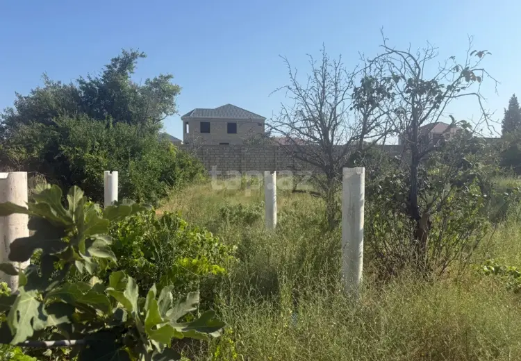 0 m² Obyekt / Ofis , Saray, Abşeron