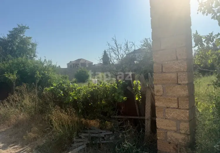 0 m² Obyekt / Ofis , Saray, Abşeron