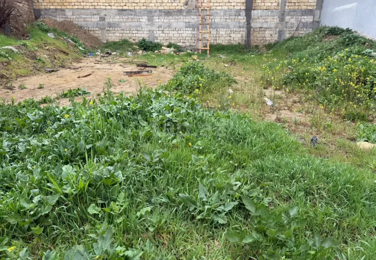 0 m² Obyekt / Ofis , Qaraçuxur qəs., Suraxanı, Bakı