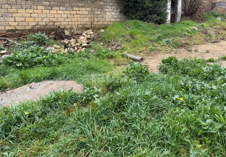 0 m² Obyekt / Ofis , Qaraçuxur qəs., Suraxanı, Bakı