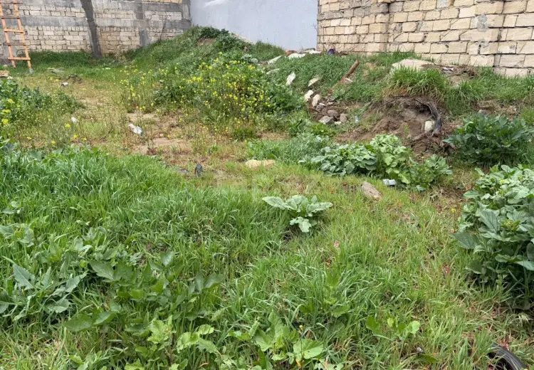0 m² Obyekt / Ofis , Qaraçuxur qəs., Suraxanı, Bakı