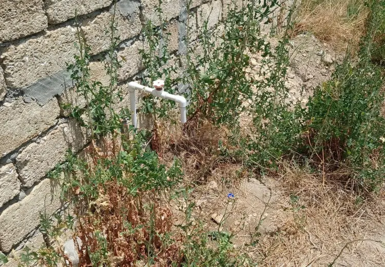 4.6 sot Torpaq Satılır, Türkan, Xəzər, Bakı