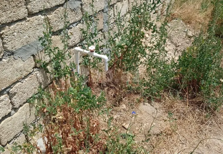 0 m² Obyekt / Ofis , Türkan, Xəzər, Bakı