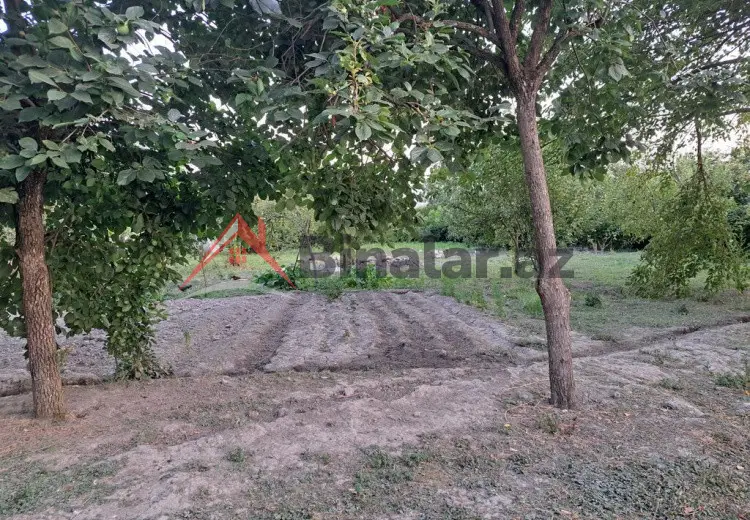 3 otaqlı mənzil Satılır, Qəbələ