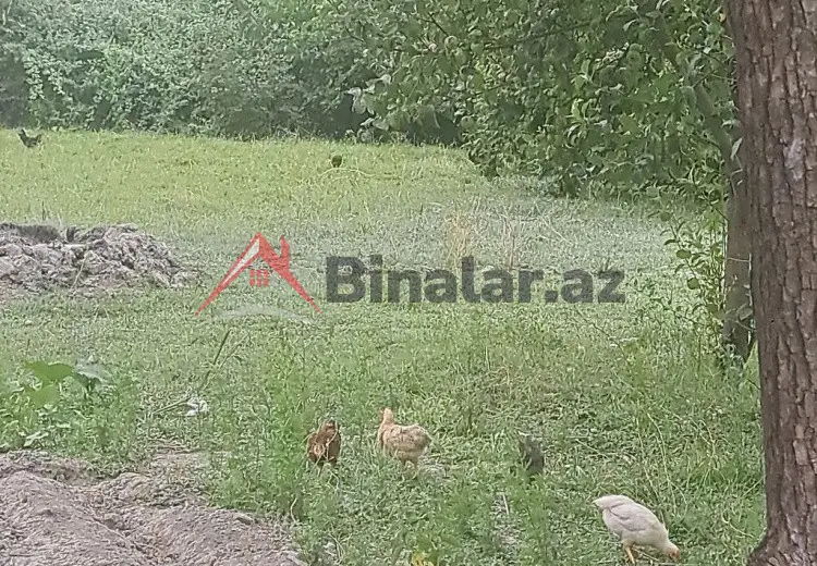 3 otaqlı mənzil Satılır, Qəbələ