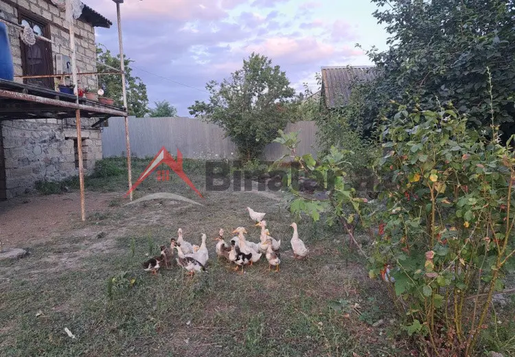 3 otaqlı mənzil Satılır, Qəbələ