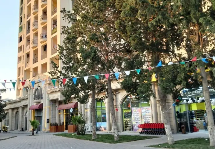 250 m² Obyekt / Ofis Kirayə (aylıq), Nizami, Bakı