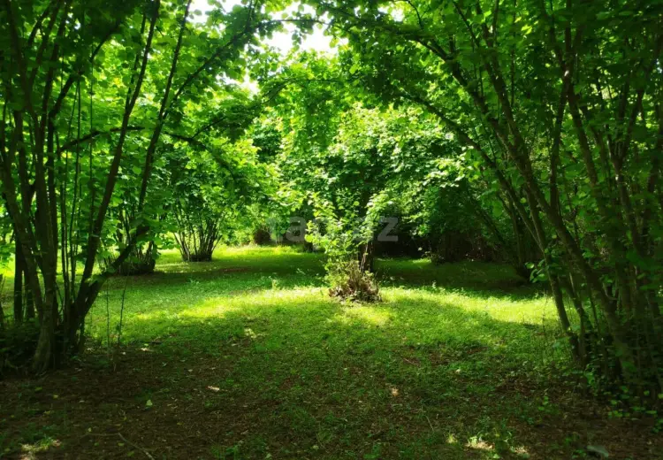 0 m² Obyekt / Ofis , Bakı