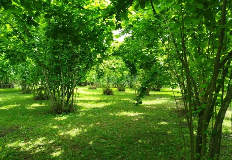 0 m² Obyekt / Ofis , Bakı