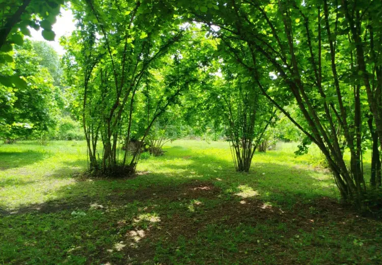 0 m² Obyekt / Ofis , Bakı