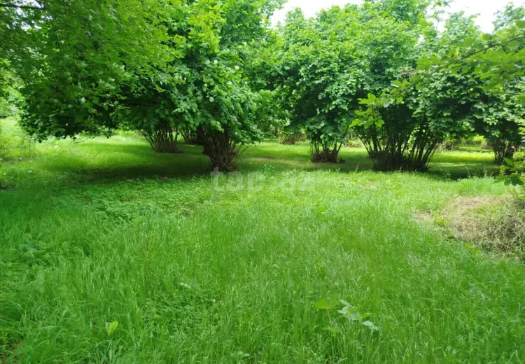 0 m² Obyekt / Ofis , Bakı