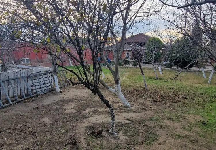 6 sot Torpaq Satılır, Məştağa qəs., Sabunçu, Bakı
