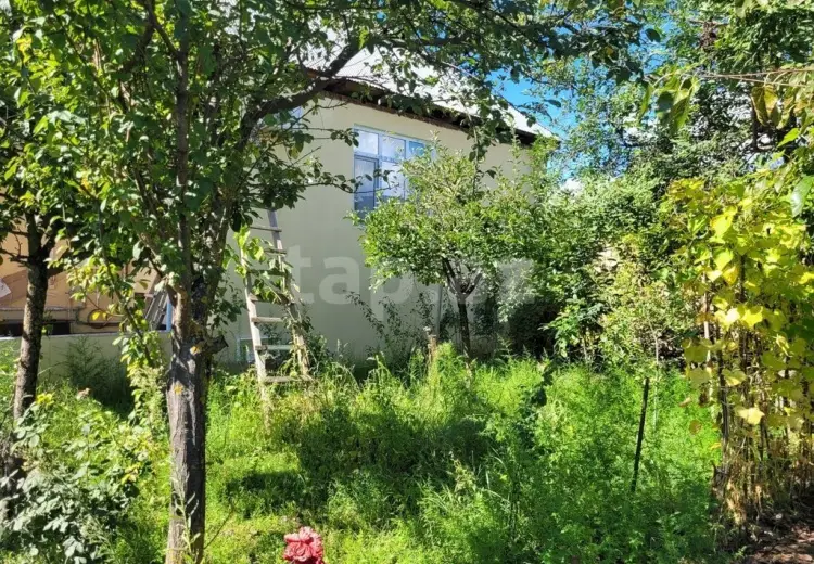 5 otaqlı mənzil , Şəki