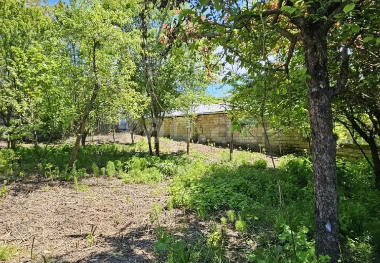 0 m² Obyekt / Ofis , İsmayıllı