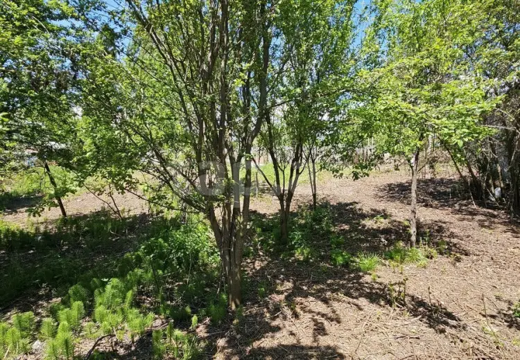 0 m² Obyekt / Ofis , İsmayıllı