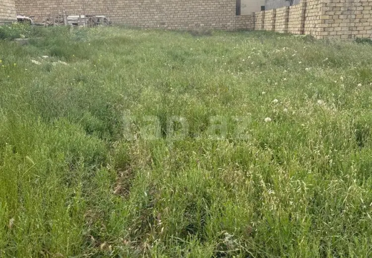 0 m² Obyekt / Ofis , Atyalı, Abşeron