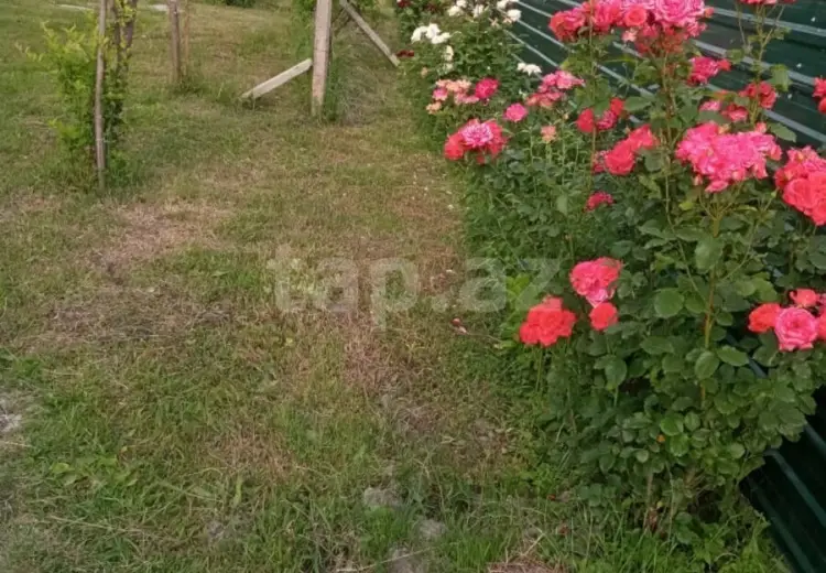 5 otaqlı mənzil , Qəbələ