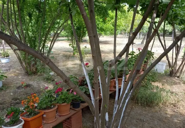 3 otaqlı mənzil , Xaçmaz