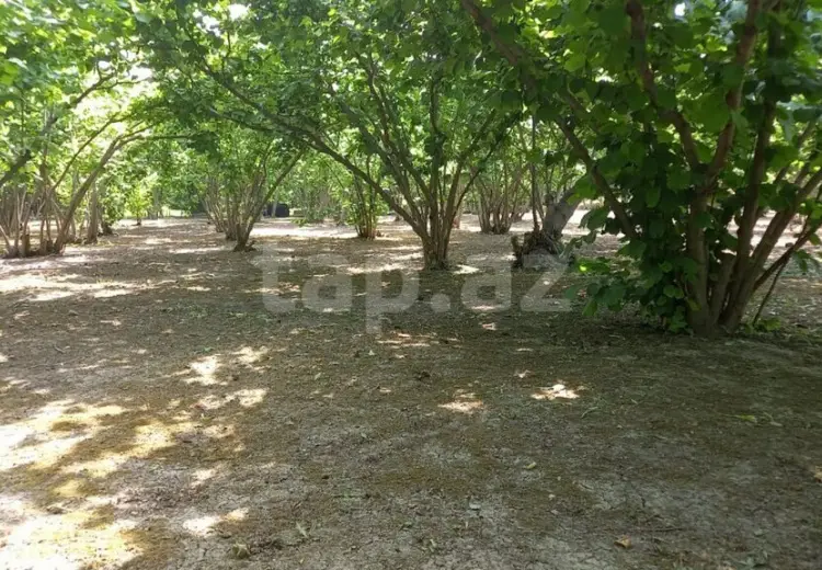 3 otaqlı mənzil , Xaçmaz