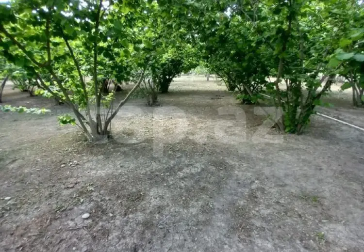 3 otaqlı mənzil , Xaçmaz