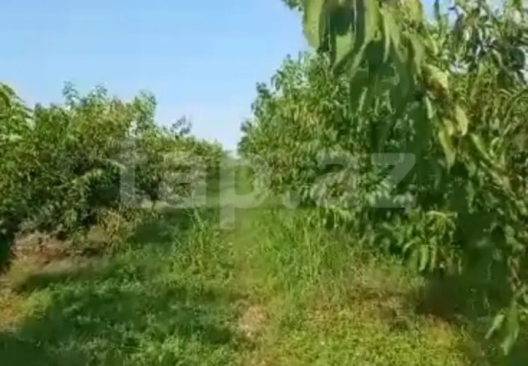 4 otaqlı mənzil , Qusar