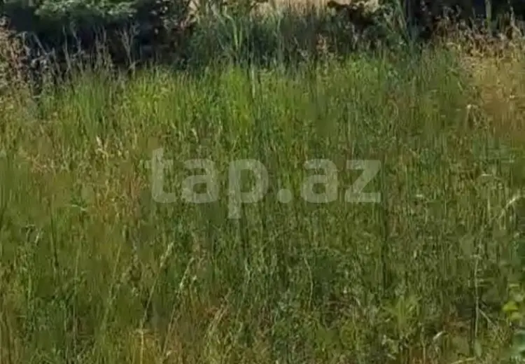 0 m² Obyekt / Ofis , Bakı