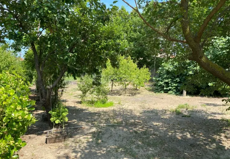 0 m² Obyekt / Ofis , Bakı