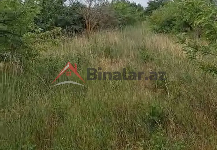150 sot Torpaq Satılır, Xaçmaz