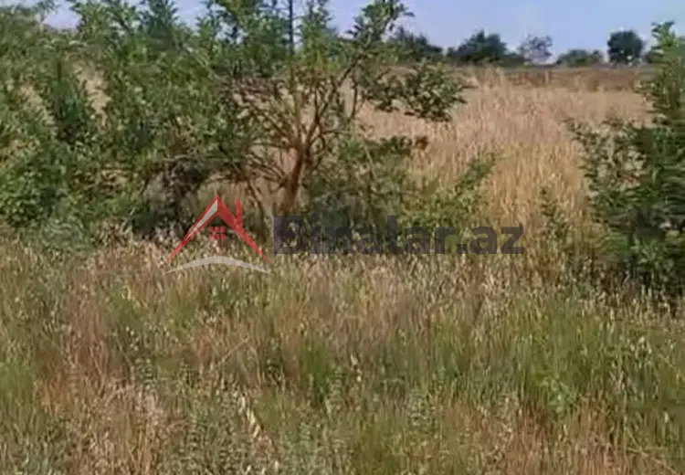 150 sot Torpaq Satılır, Xaçmaz
