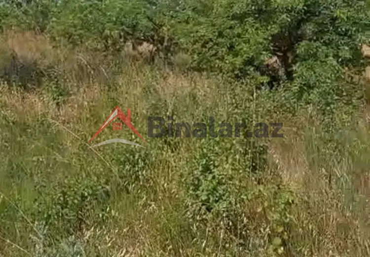 150 sot Torpaq Satılır, Xaçmaz