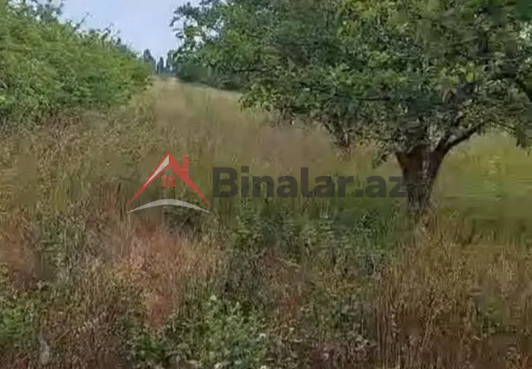 150 sot Torpaq Satılır, Xaçmaz
