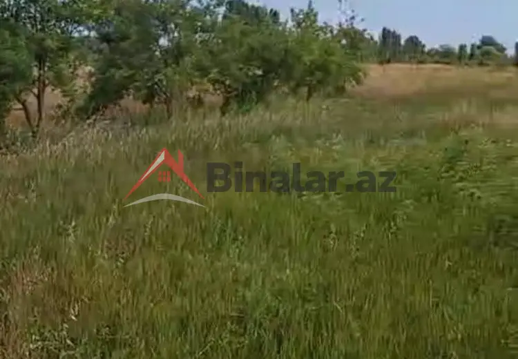 150 sot Torpaq Satılır, Xaçmaz
