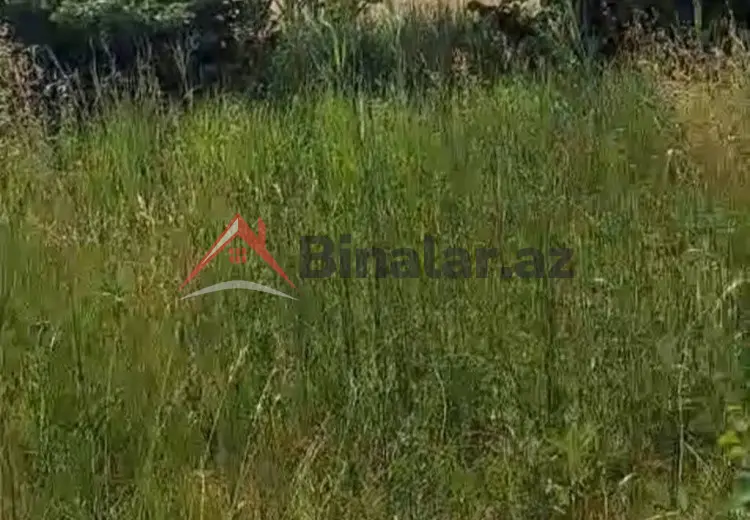 150 sot Torpaq Satılır, Xaçmaz
