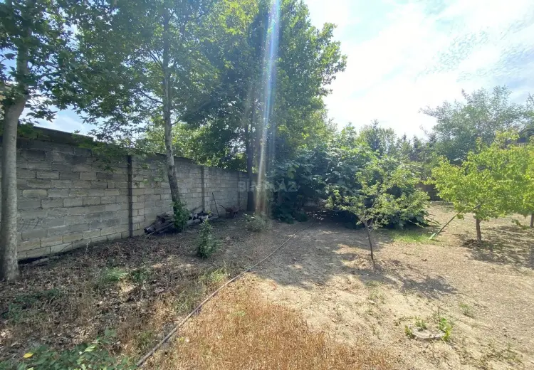 12 sot Torpaq Satılır, Novxanı, Abşeron