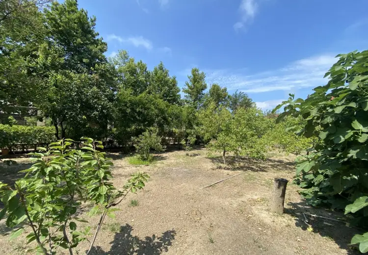 12 sot Torpaq Satılır, Novxanı, Abşeron