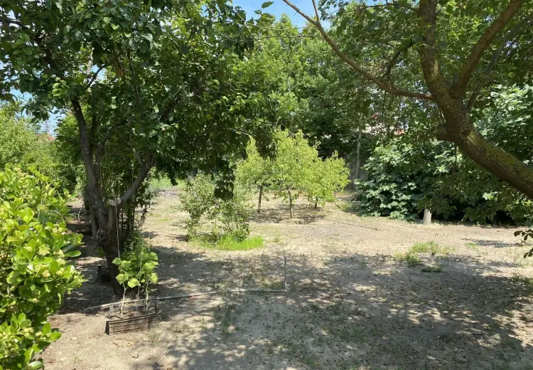 12 sot Torpaq Satılır, Novxanı, Abşeron