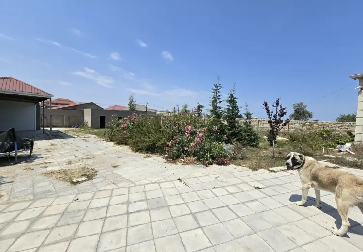 8 sot Torpaq Satılır, Nardaran qəs., Sabunçu, Bakı