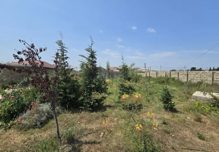 8 sot Torpaq Satılır, Nardaran qəs., Sabunçu, Bakı