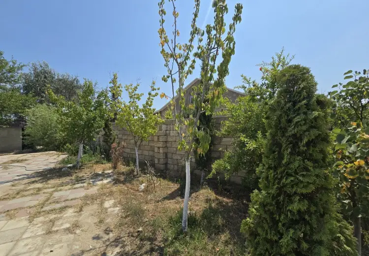 8 sot Torpaq Satılır, Nardaran qəs., Sabunçu, Bakı