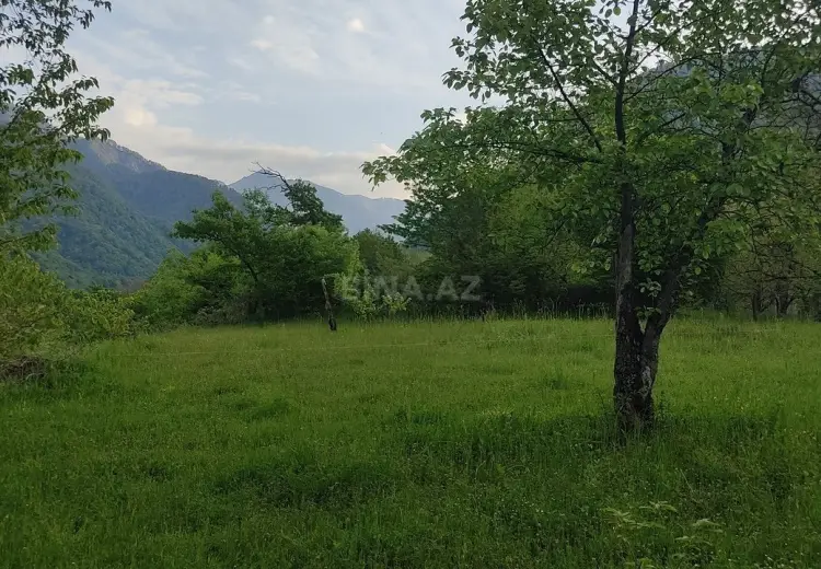 5 sot Torpaq Satılır, Qəbələ
