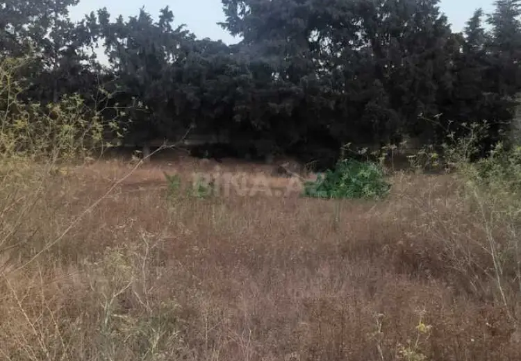 35 sot Torpaq Satılır, Mərdəkan, Xəzər, Bakı