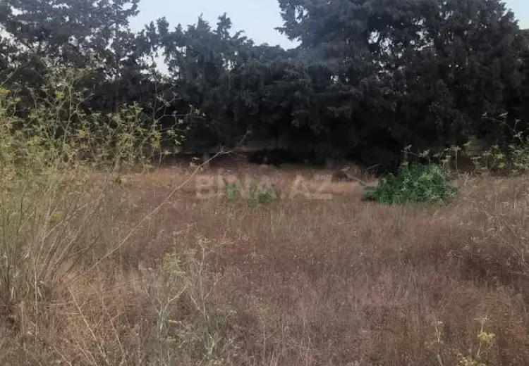 35 sot Torpaq Satılır, Mərdəkan, Xəzər, Bakı