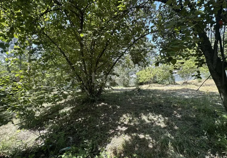 0 m² Obyekt / Ofis , İsmayıllı